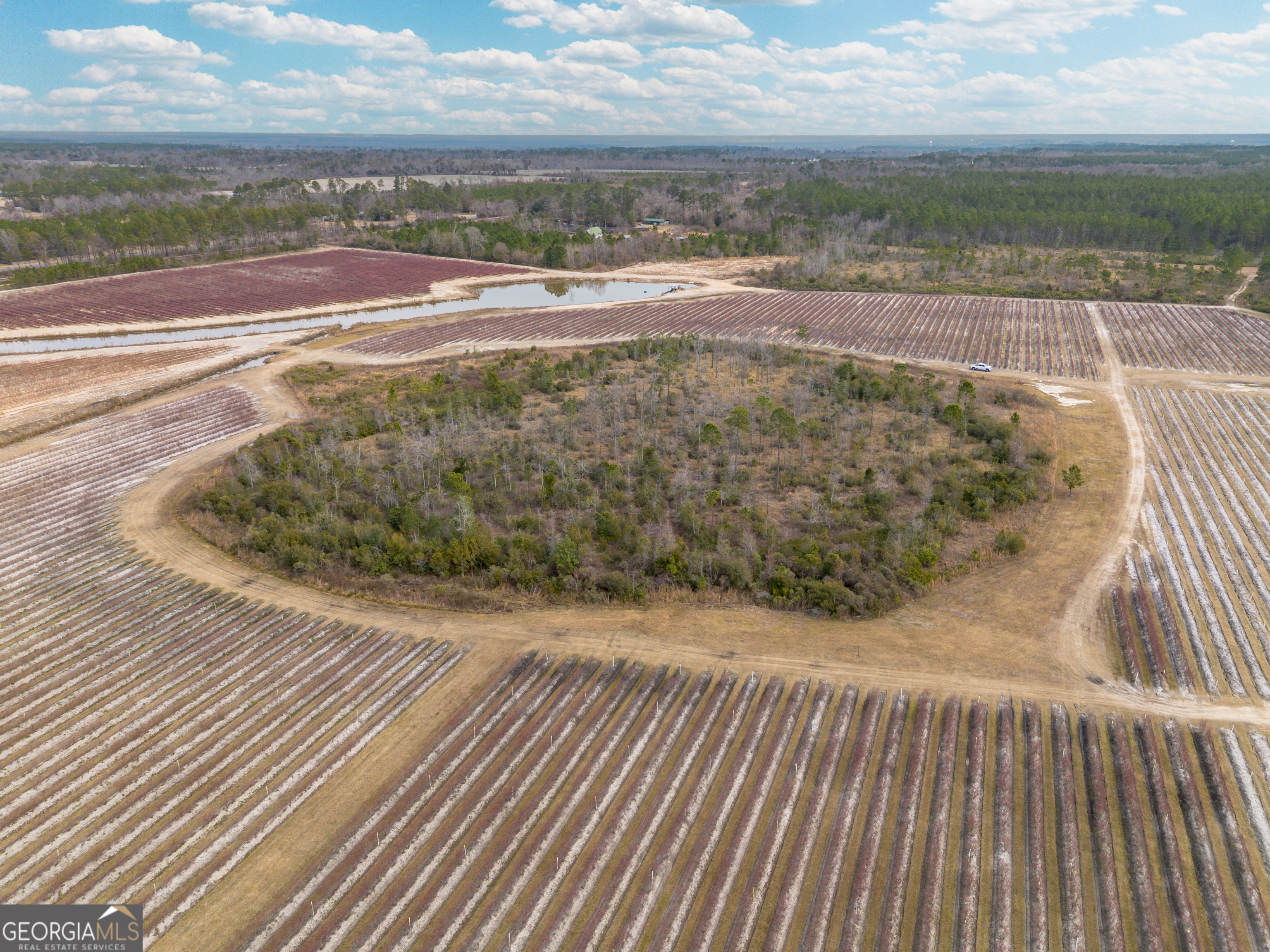367 Whipporwill Road Nicholls, GA 31554 - Photo 5 of 36
