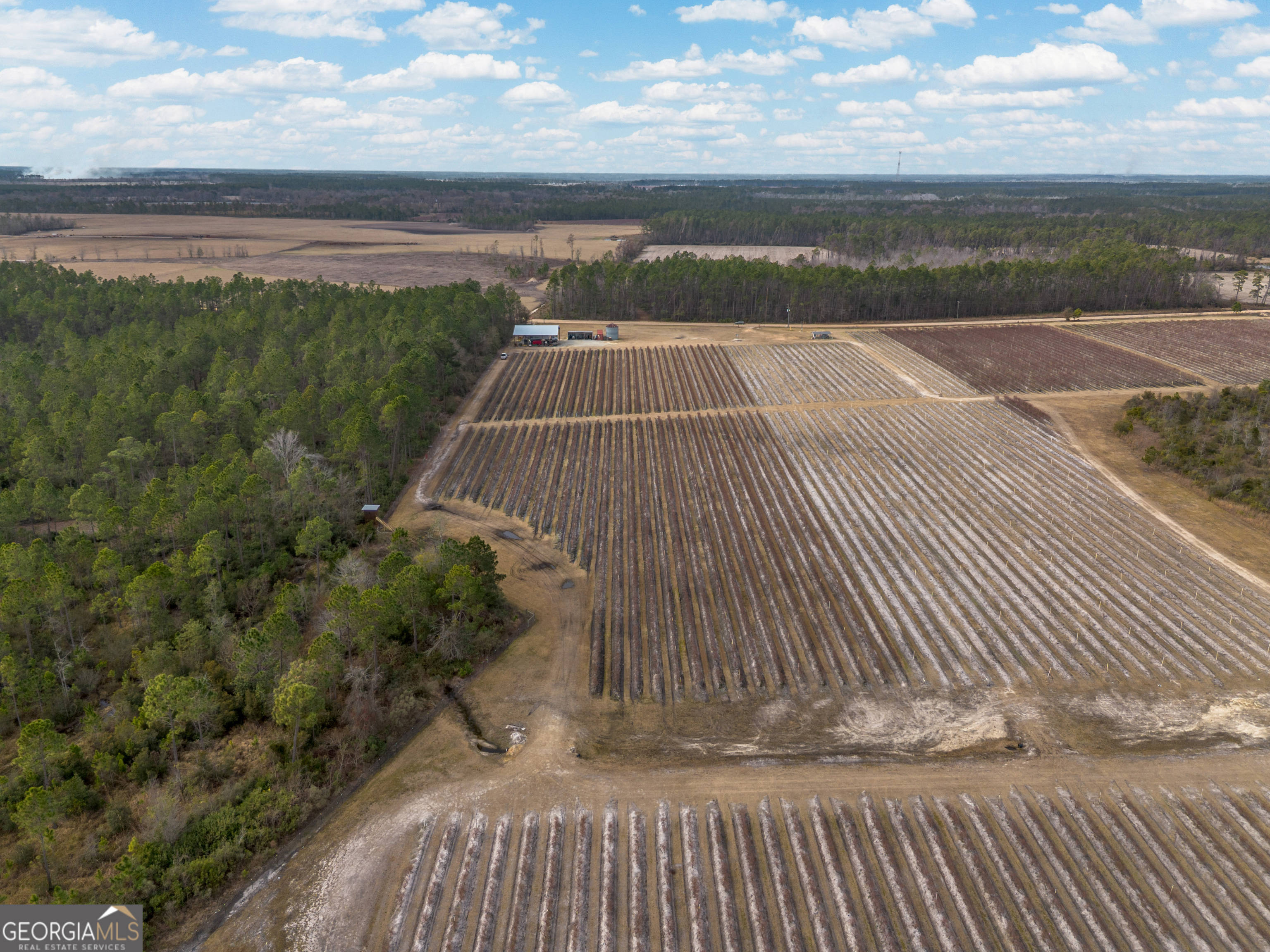 367 Whipporwill Road Nicholls, GA 31554 - Photo 8 of 36