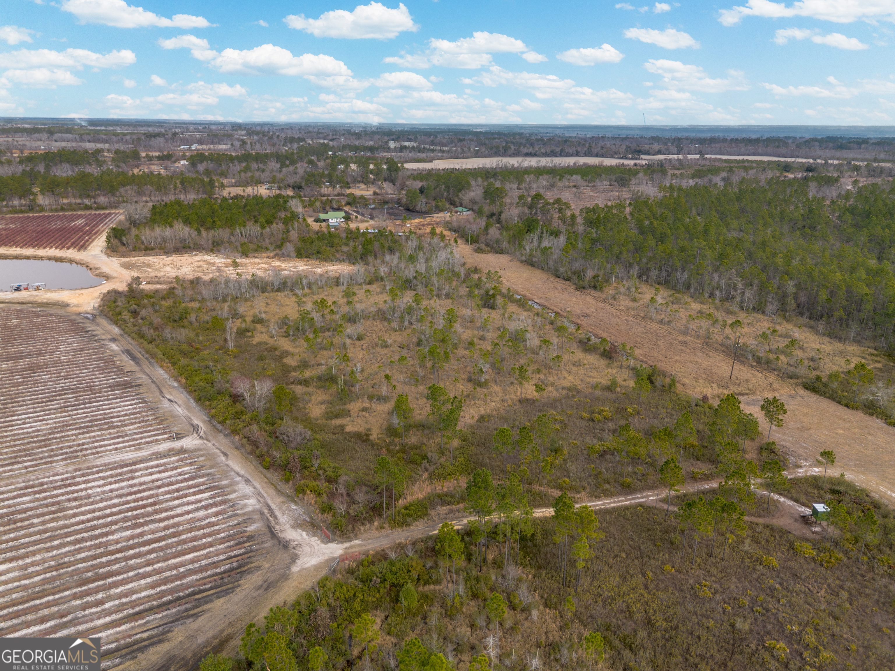 367 Whipporwill Road Nicholls, GA 31554 - Photo 9 of 36