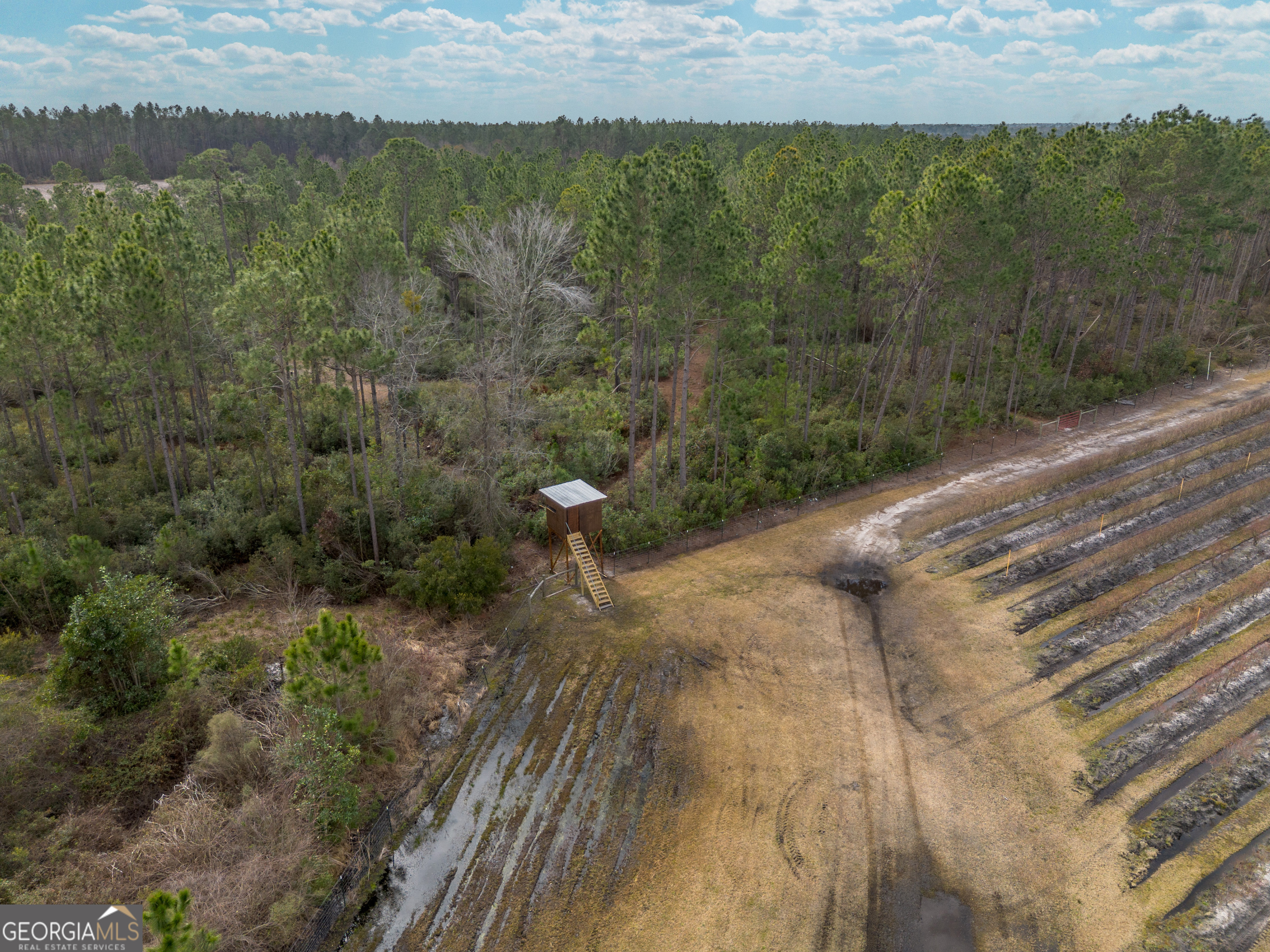 367 Whipporwill Road Nicholls, GA 31554 - Photo 10 of 36