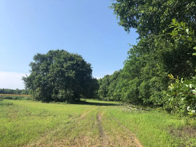 a view of an outdoor space and a yard