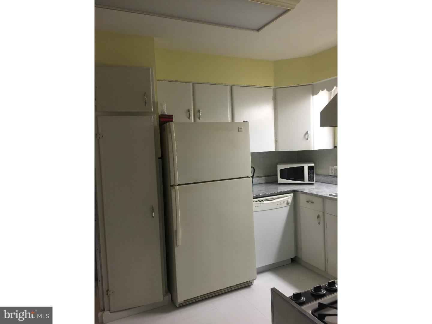 1037 River Road Washington Crossing, PA 18977 - Photo 10 of 21 Kitchen