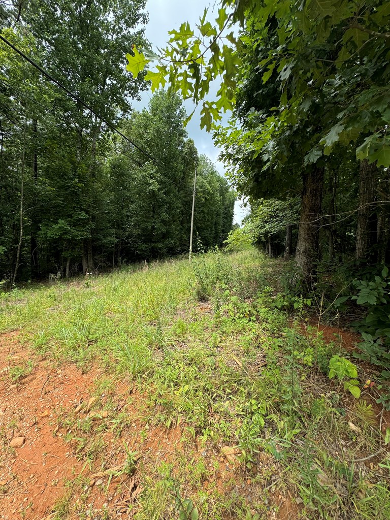 1 Wildlife Rdg Road Jasper, GA 30143 - Photo 11 of 13