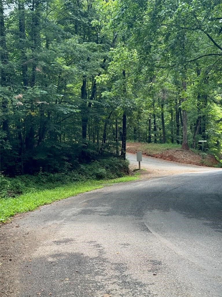 1 Wildlife Rdg Road Jasper, GA 30143 - Photo 3 of 13