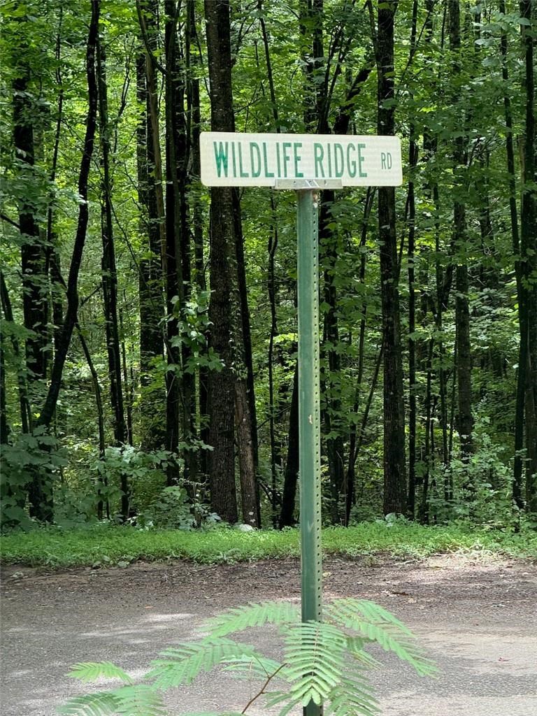 1 Wildlife Rdg Road Jasper, GA 30143 - Photo 4 of 13