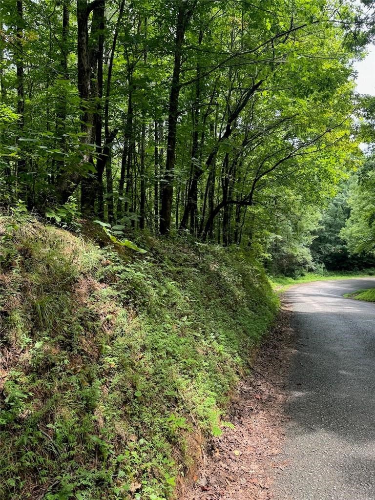 1 Wildlife Rdg Road Jasper, GA 30143 - Photo 6 of 13