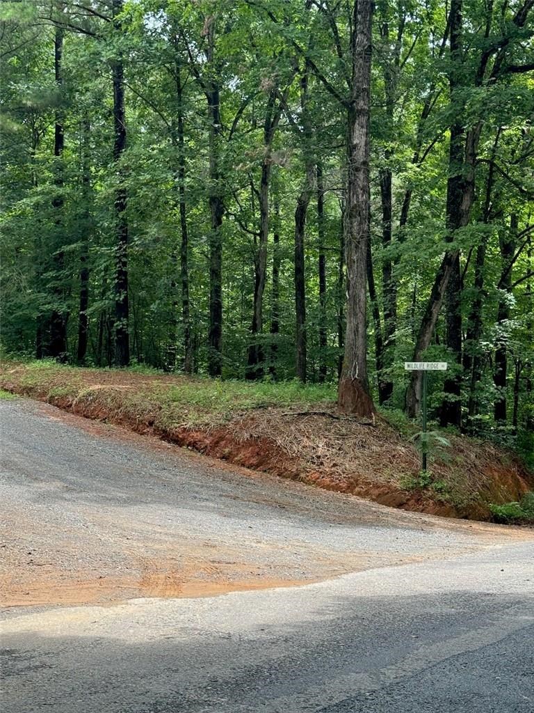 1 Wildlife Rdg Road Jasper, GA 30143 - Photo 7 of 13
