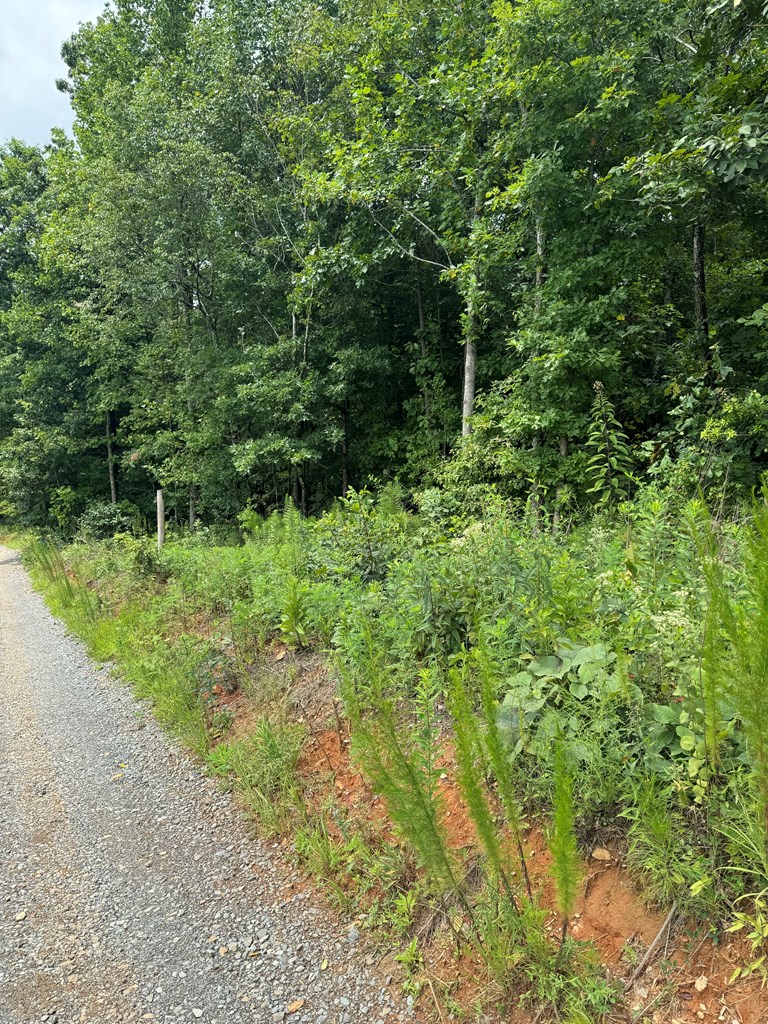 1 Wildlife Rdg Road Jasper, GA 30143 - Photo 9 of 13
