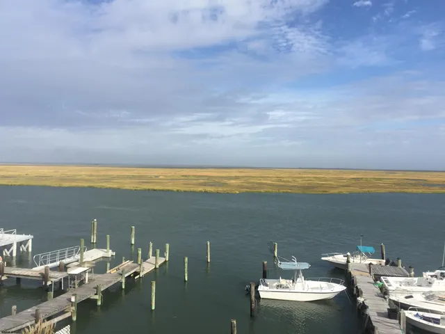 a street sign on a wooden wall