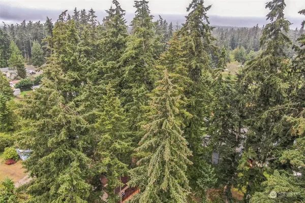 $25,000 | 0 East Eugene Street, Port Hadlock, WA 98339