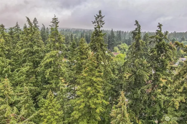 $25,000 | 0 East Eugene Street, Port Hadlock, WA 98339
