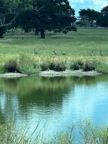 a view of a garden with a lake