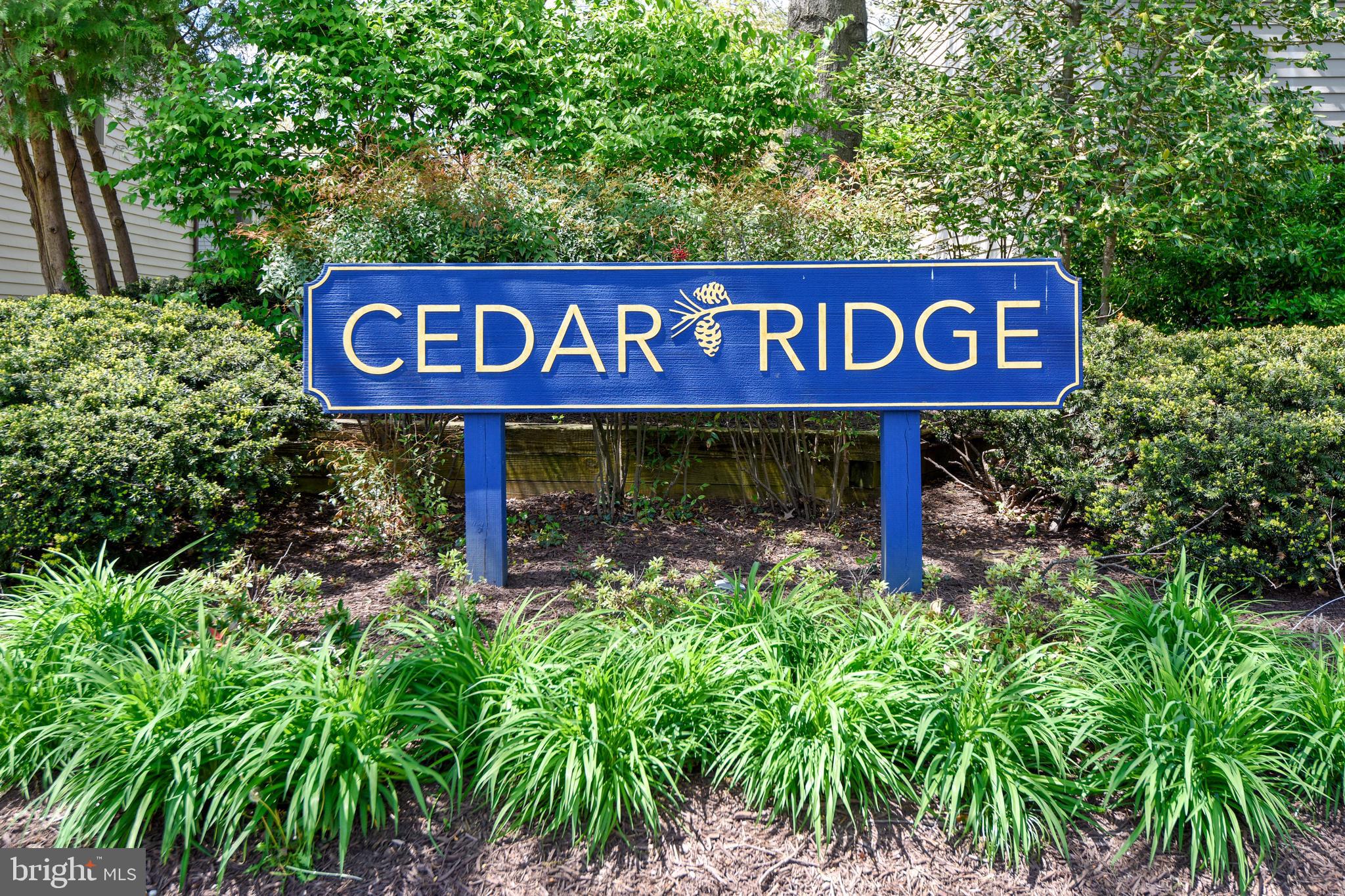 1059 Cedar Ridge Court Annapolis, MD 21403 - Photo 47 of 47