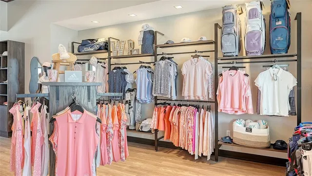 a view of a park with palm trees