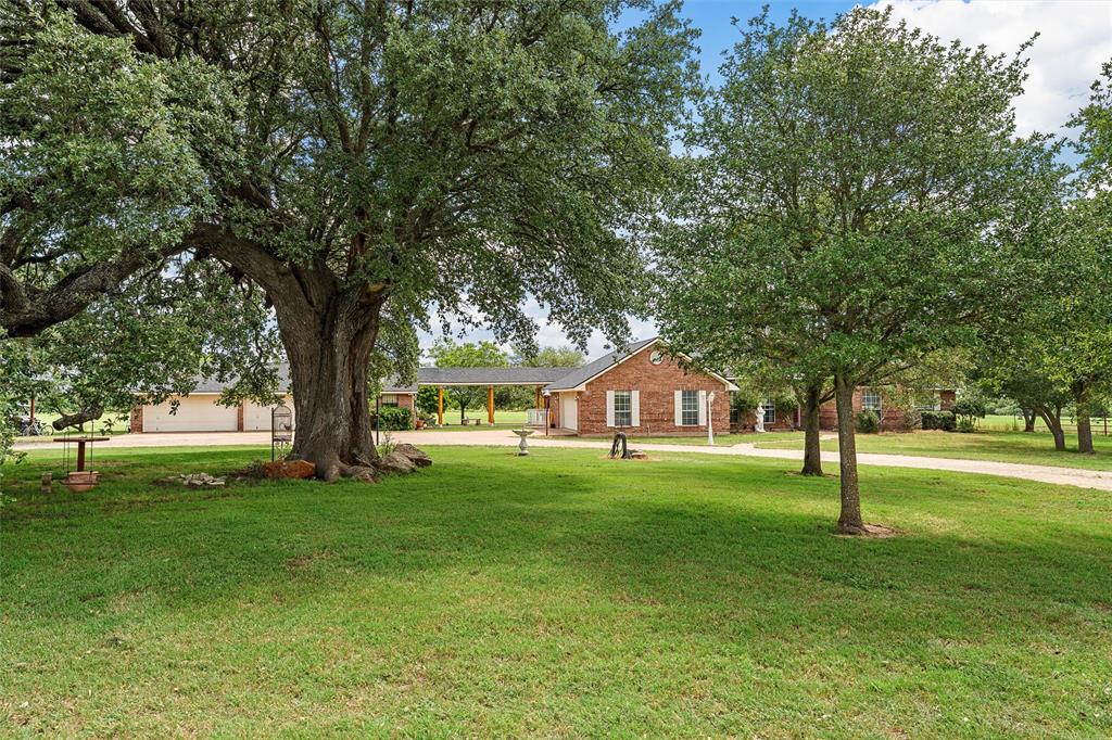 654 County Road 473 Lott, TX 76656 - Photo 1 of 40 a big tree in middle of the green field