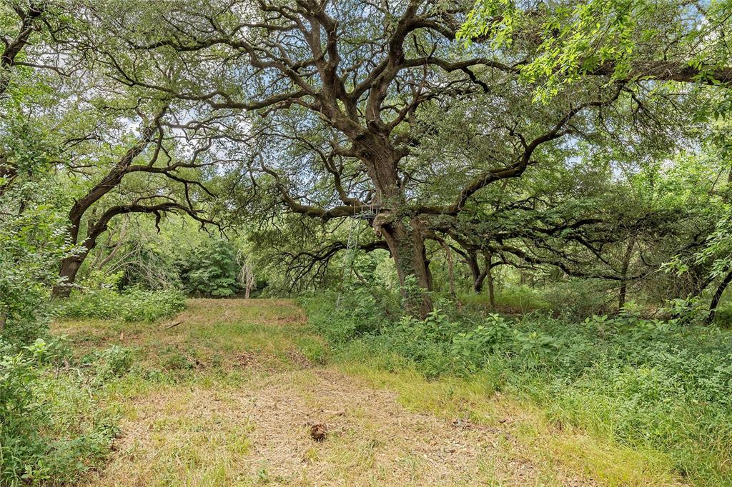 654 County Road 473 Lott, TX 76656 - Photo 30 of 40 a view of a yard with a tree