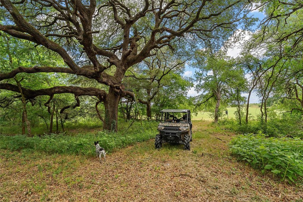 654 County Road 473 Lott, TX 76656 - Photo 32 of 40 a view of a yard with large trees