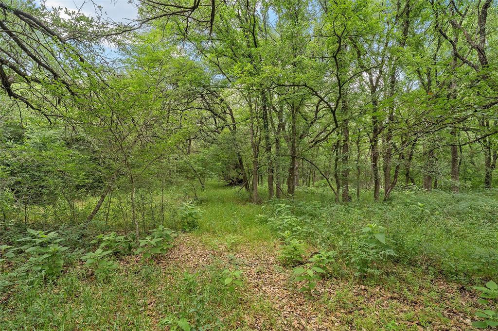 654 County Road 473 Lott, TX 76656 - Photo 33 of 40 a view of outdoor space and trees