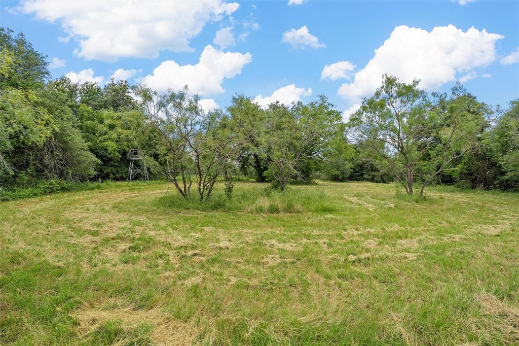 654 County Road 473 Lott, TX 76656 - Photo 34 of 40 a view of a field with a tree in the background
