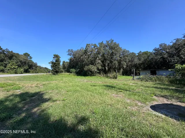 a view of a grassy field with trees in the background