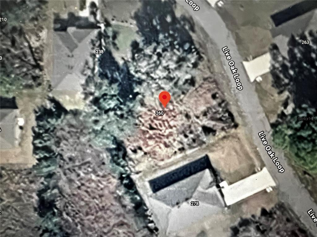 260 Live Oak Loop Crescent City, FL 32112 - Photo 4 of 18