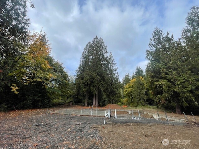 9801 Kelly Road Northeast Carnation, WA 98014 - Photo 4 of 34 a view of a yard with a tree