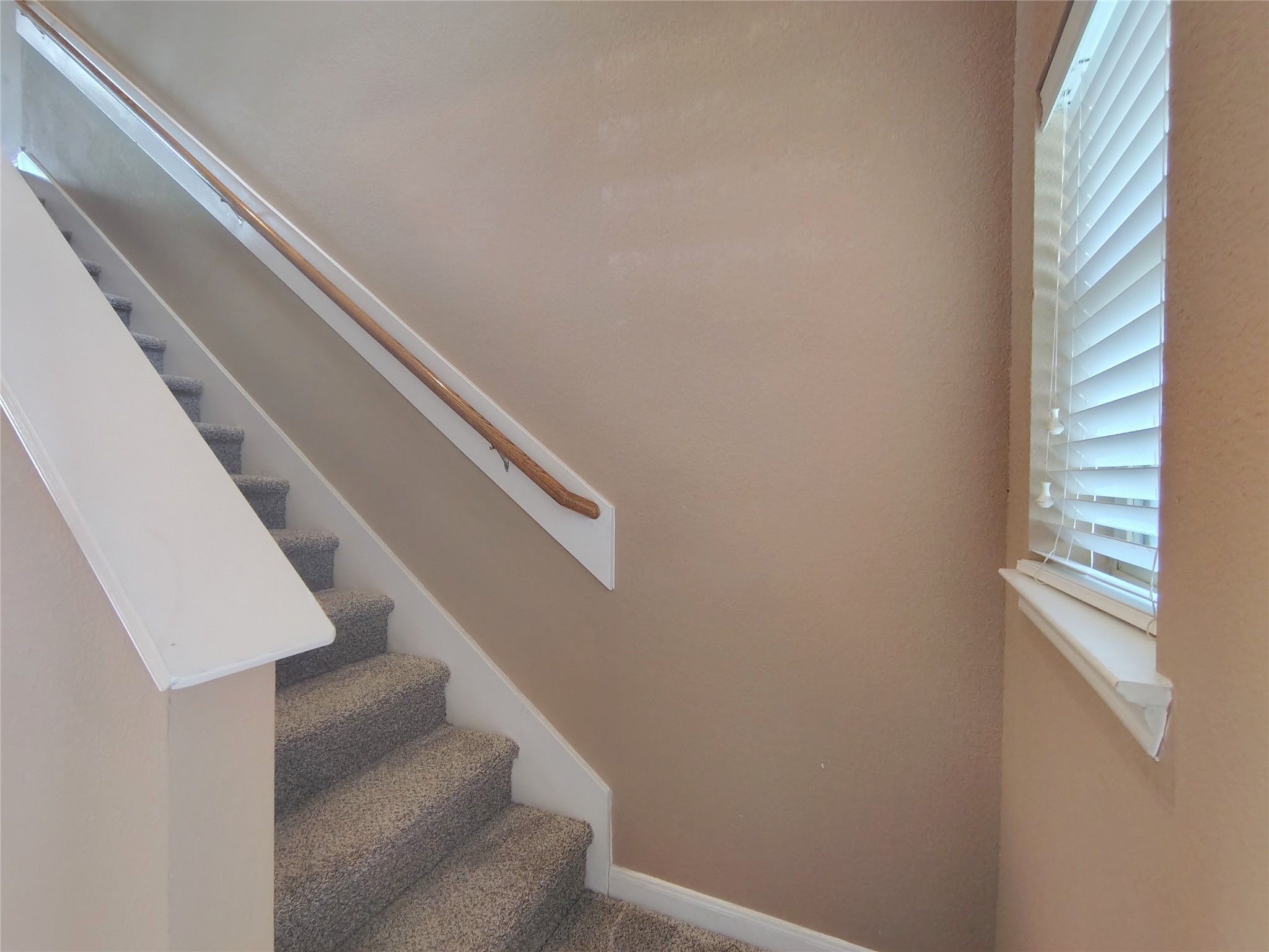 1206 Larks Trace Lane Houston, TX 77090 - Photo 12 of 20