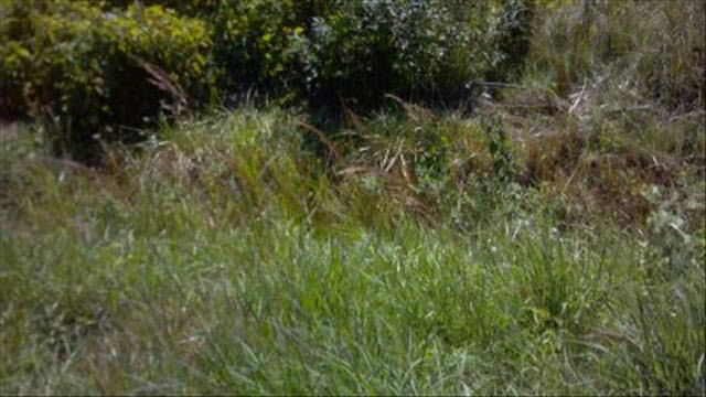 457 West Dean Road Temperance, MI 48182 - Photo 16 of 20 20390006-15.JPG
