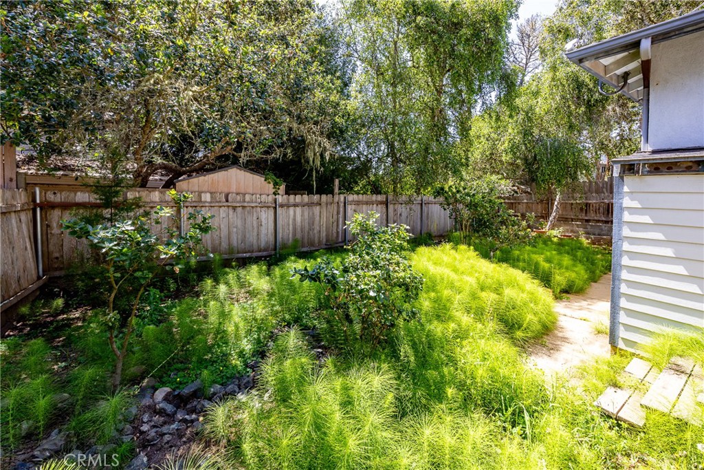 2155 Cowper Street Cambria, CA 93428 - Photo 31 of 35 a view of a garden with plants