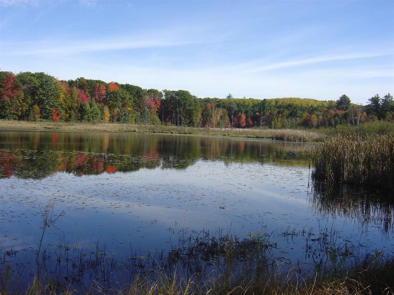 11093 North Mac Road Irons, MI 49644 - Photo 2 of 22 1839807-1.JPG