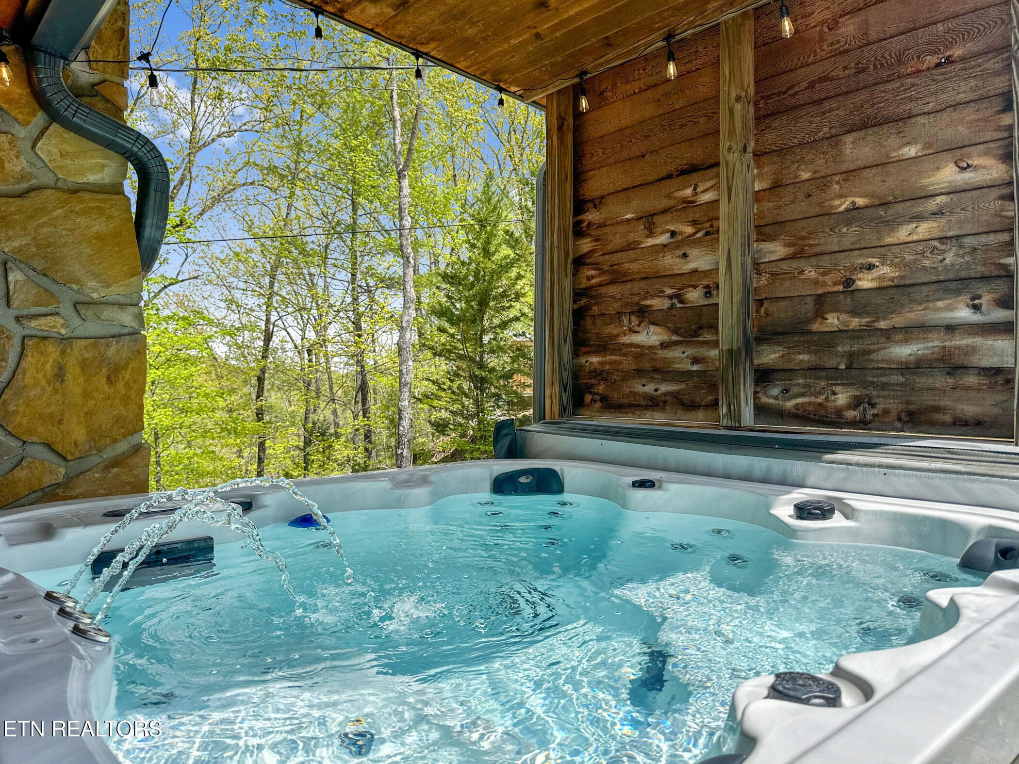 720 Timberlake Drive Pigeon Forge, TN 37863 - Photo 25 of 44 Hot tub Area