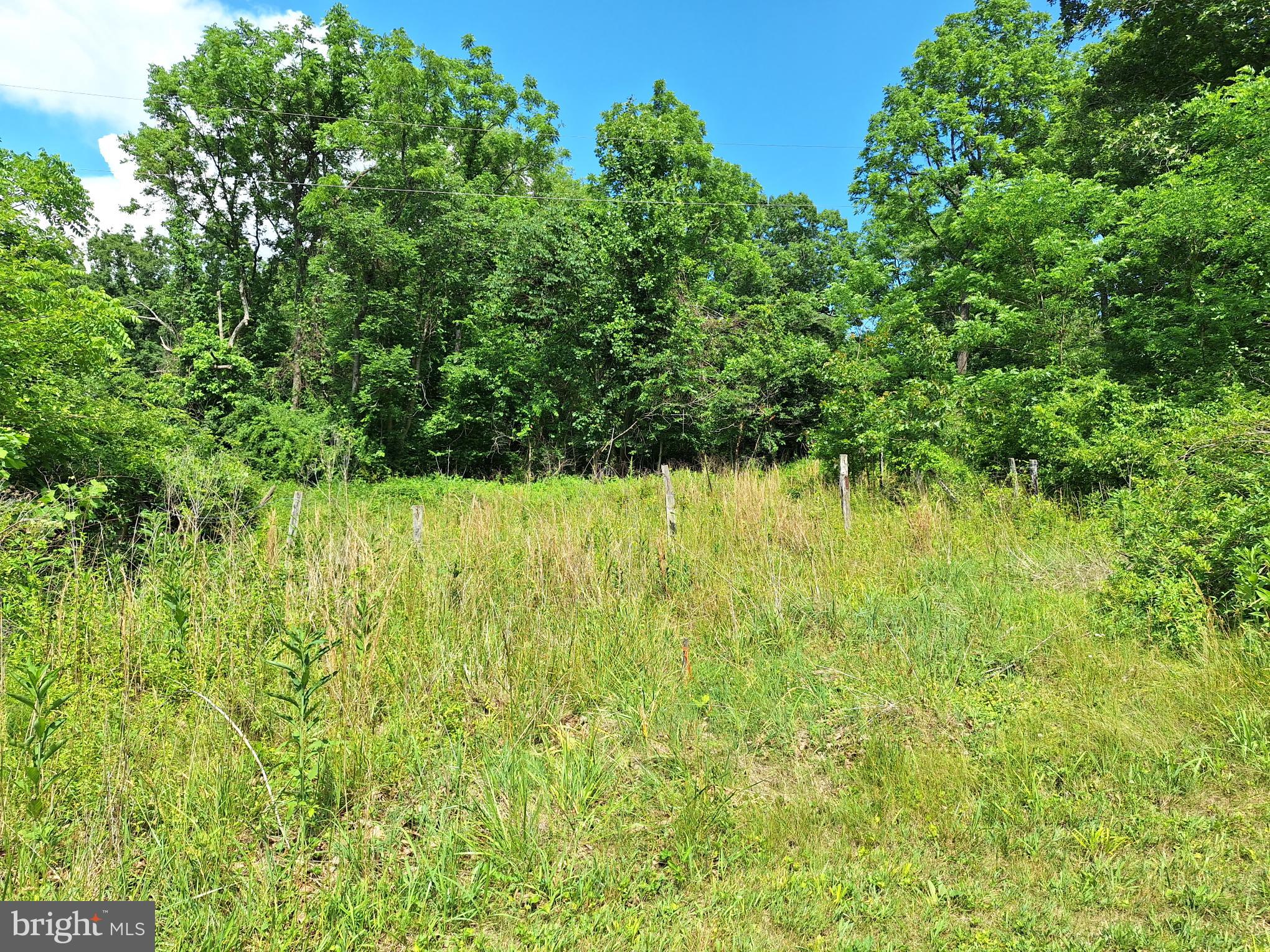 9499 Old Waterloo Road Warrenton, VA 20186 - Photo 16 of 19