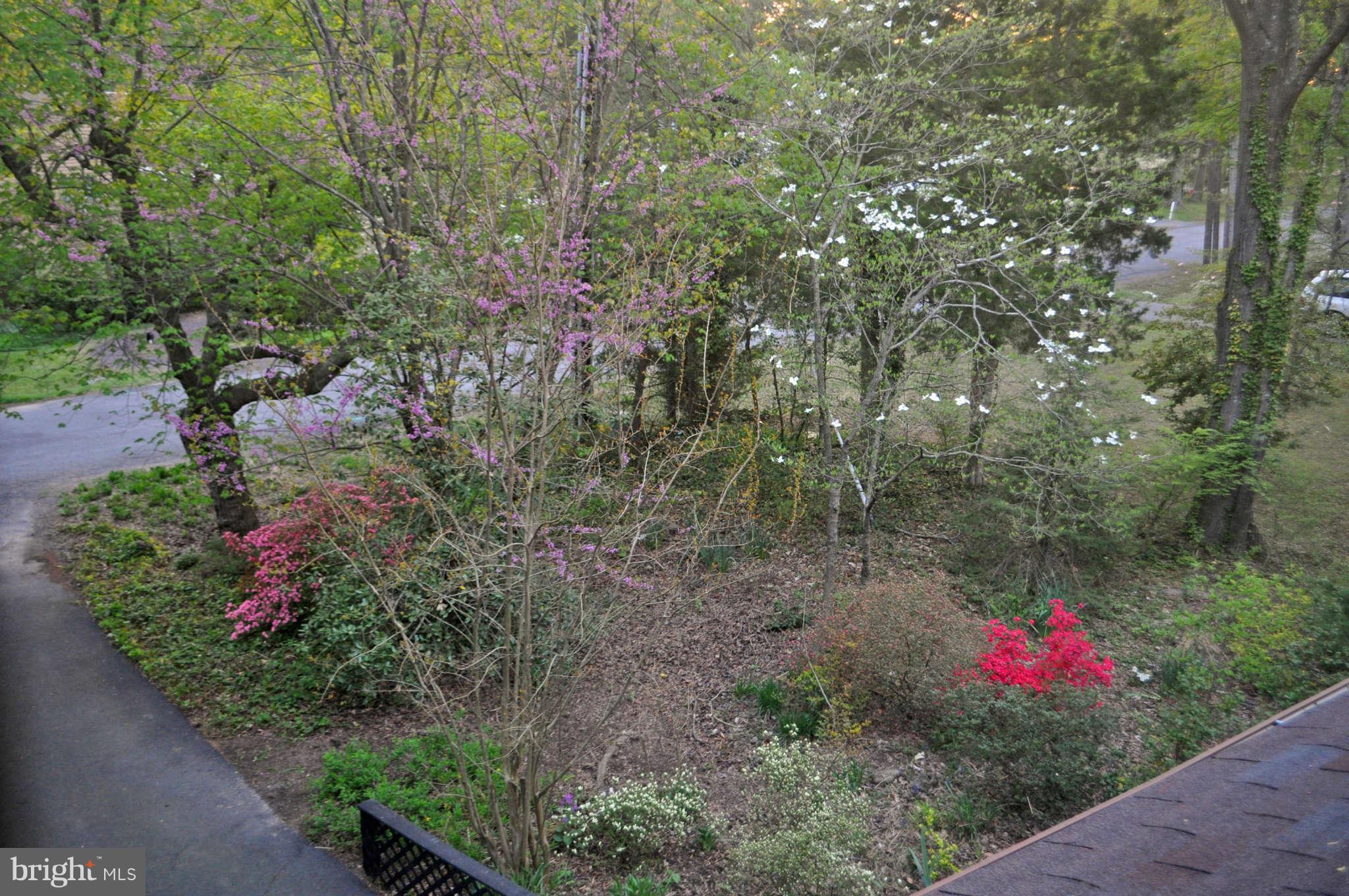 203 Pine Valley Road Locust Grove, VA 22508 - Photo 8 of 19 View of Gardens