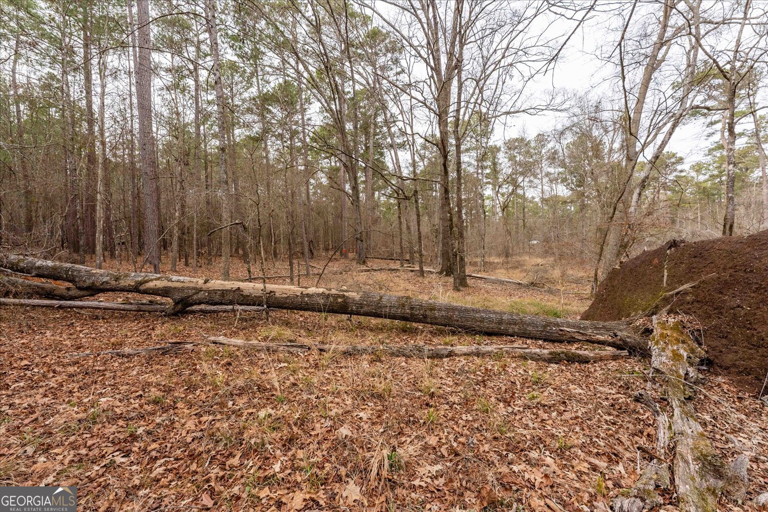 0 Winding Ridge Drive Tignall, GA 30668 - Photo 11 of 12