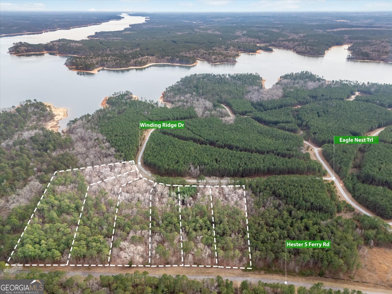 0 Winding Ridge Drive Tignall, GA 30668 - Photo 3 of 12