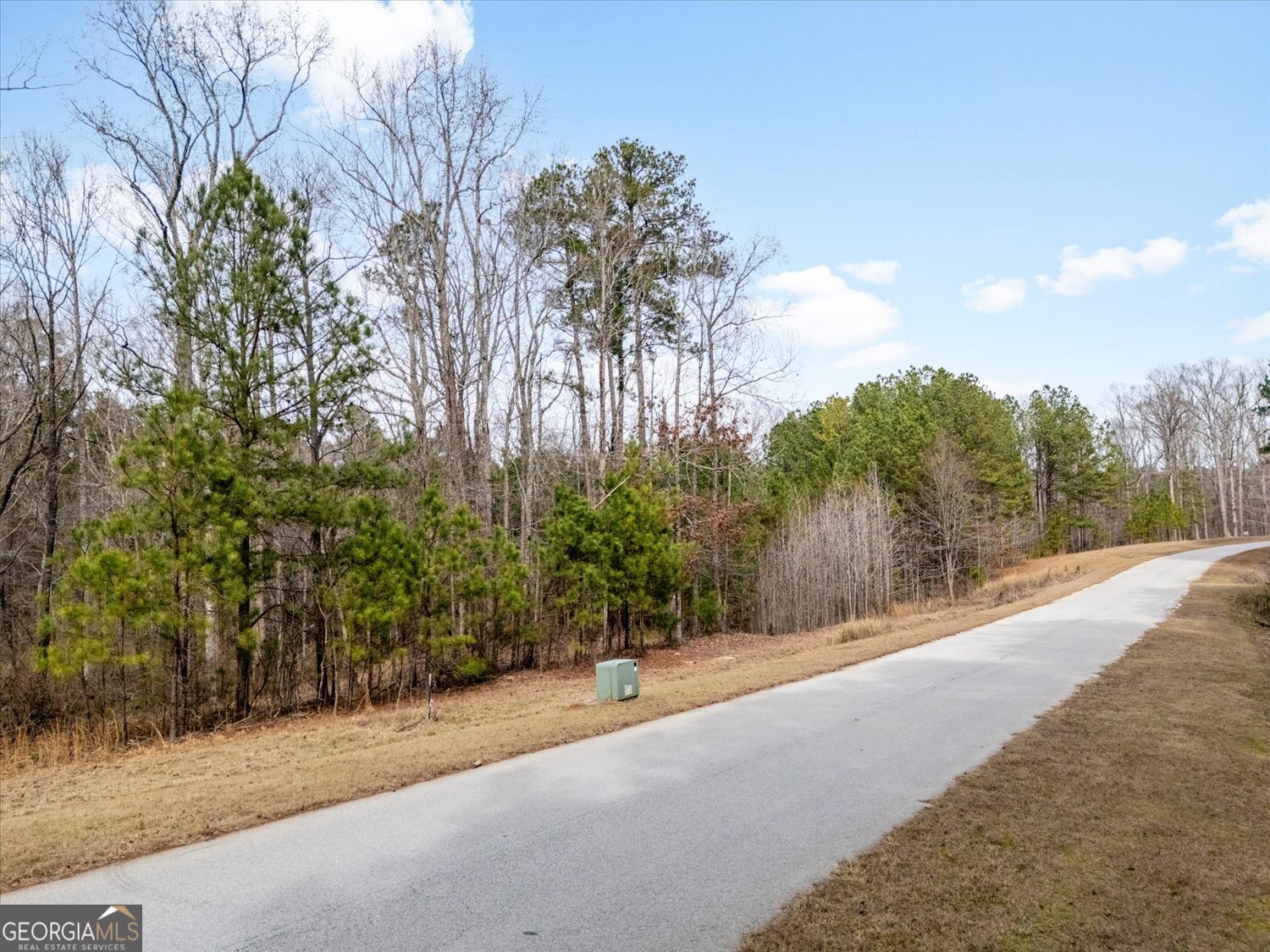 0 Winding Ridge Drive Tignall, GA 30668 - Photo 4 of 12