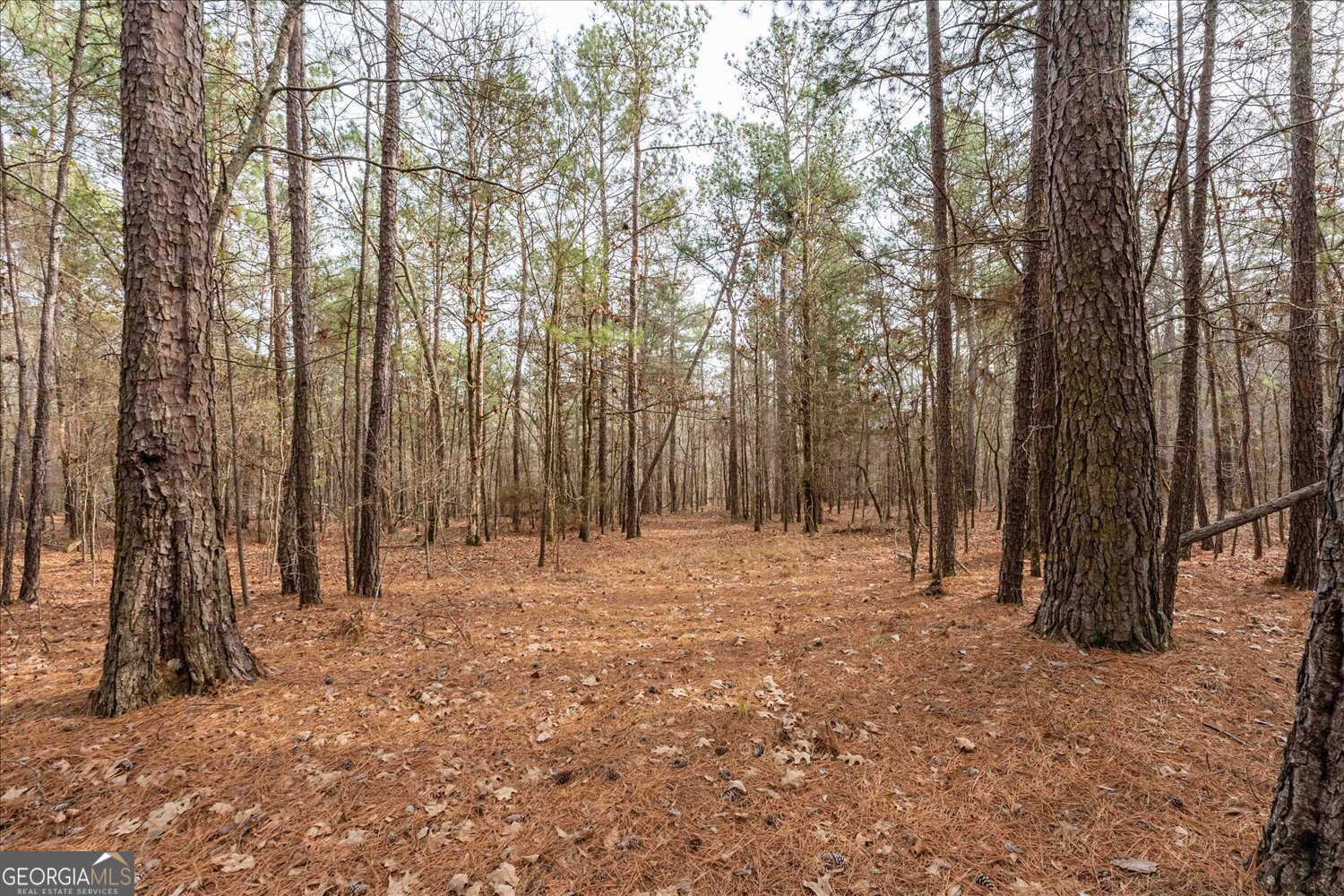 0 Winding Ridge Drive Tignall, GA 30668 - Photo 5 of 12