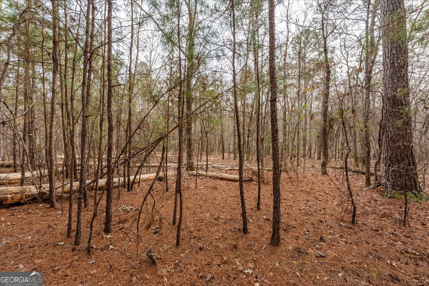 0 Winding Ridge Drive Tignall, GA 30668 - Photo 6 of 12