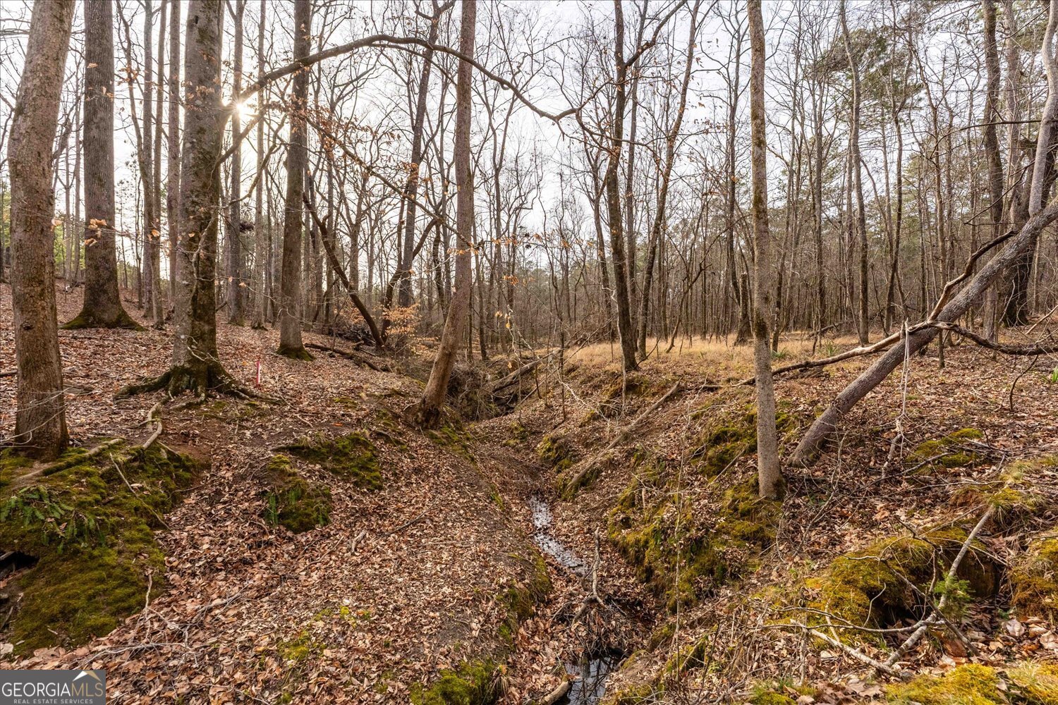0 Winding Ridge Drive Tignall, GA 30668 - Photo 9 of 12