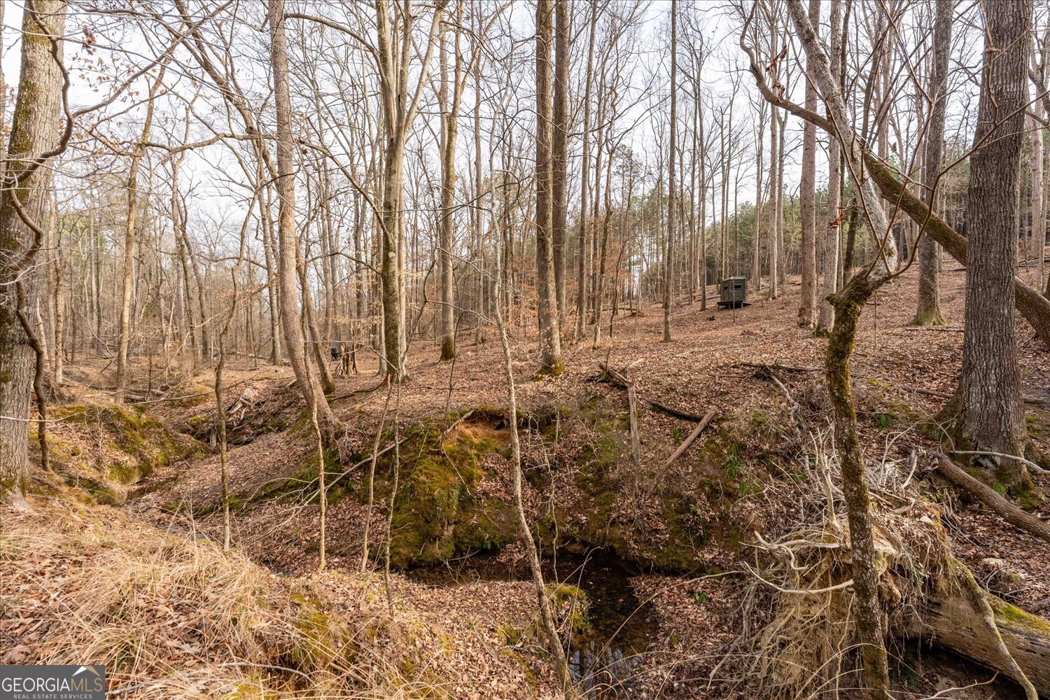 0 Winding Ridge Drive Tignall, GA 30668 - Photo 10 of 12