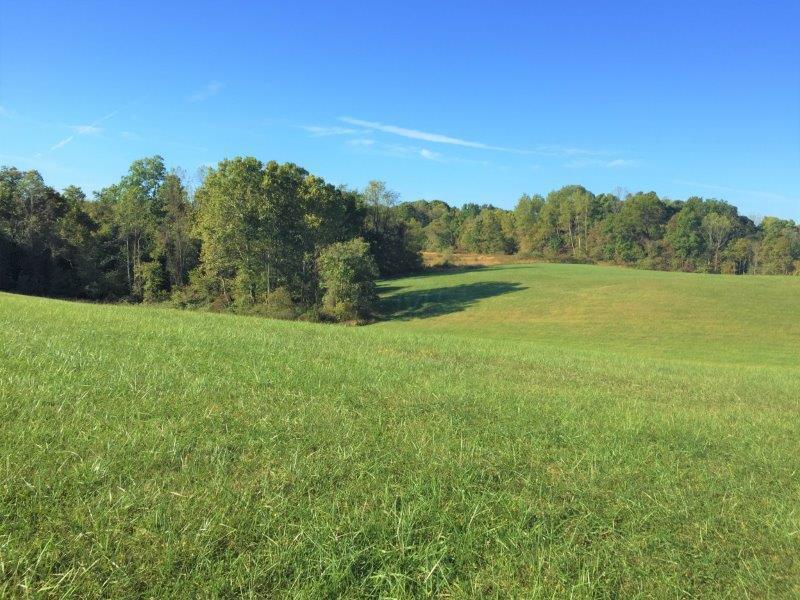 0 Felton Road Amesville, OH 45711 - Photo 14 of 40 Gallery Image 14