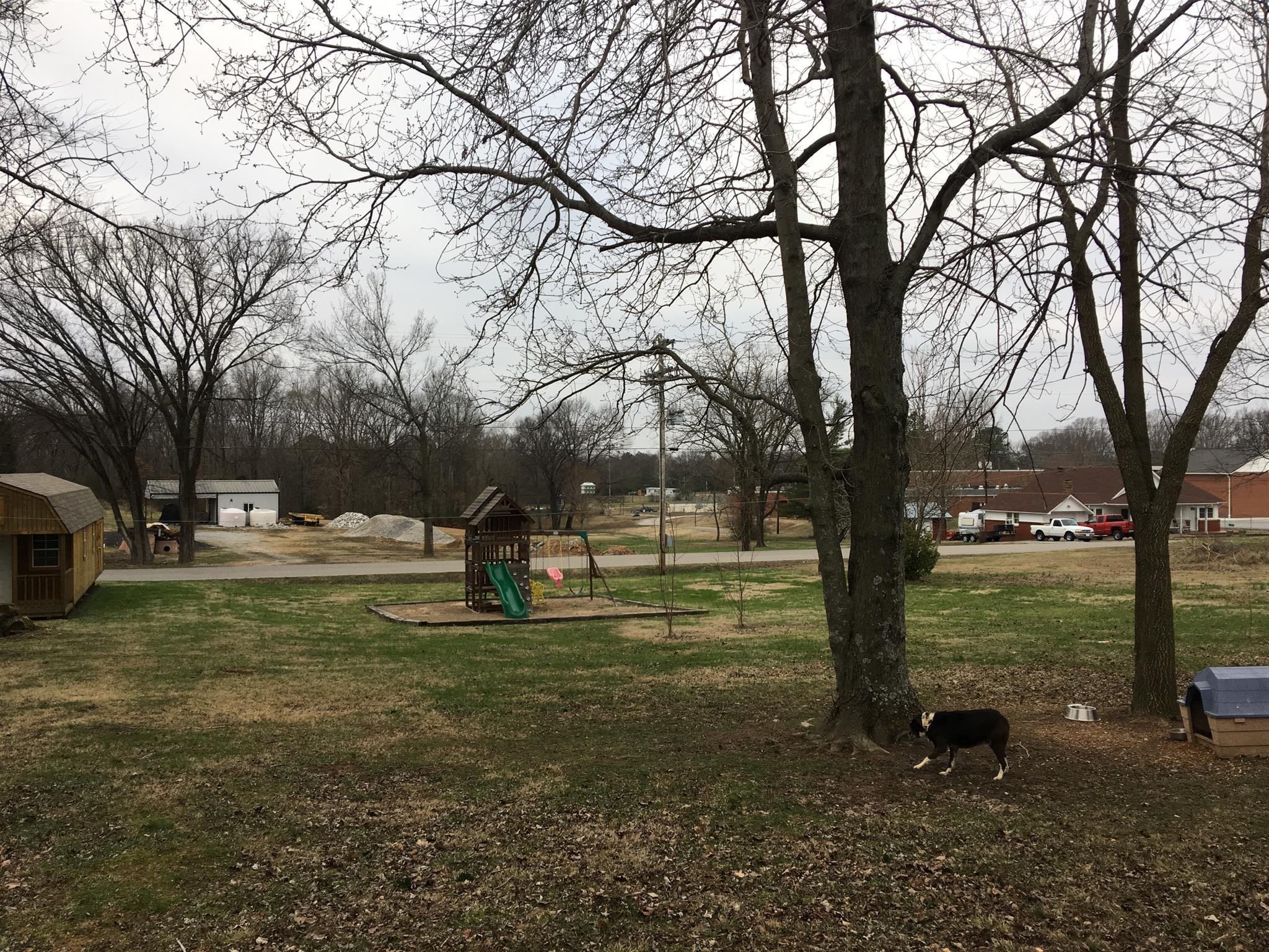 55 Church Street Tennessee Ridge, TN 37178 - Photo 14 of 14 Large back Yard