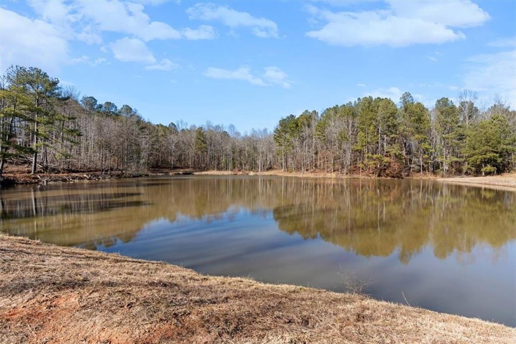 80 Hand Road Bowdon, GA 30108 - Photo 58 of 83