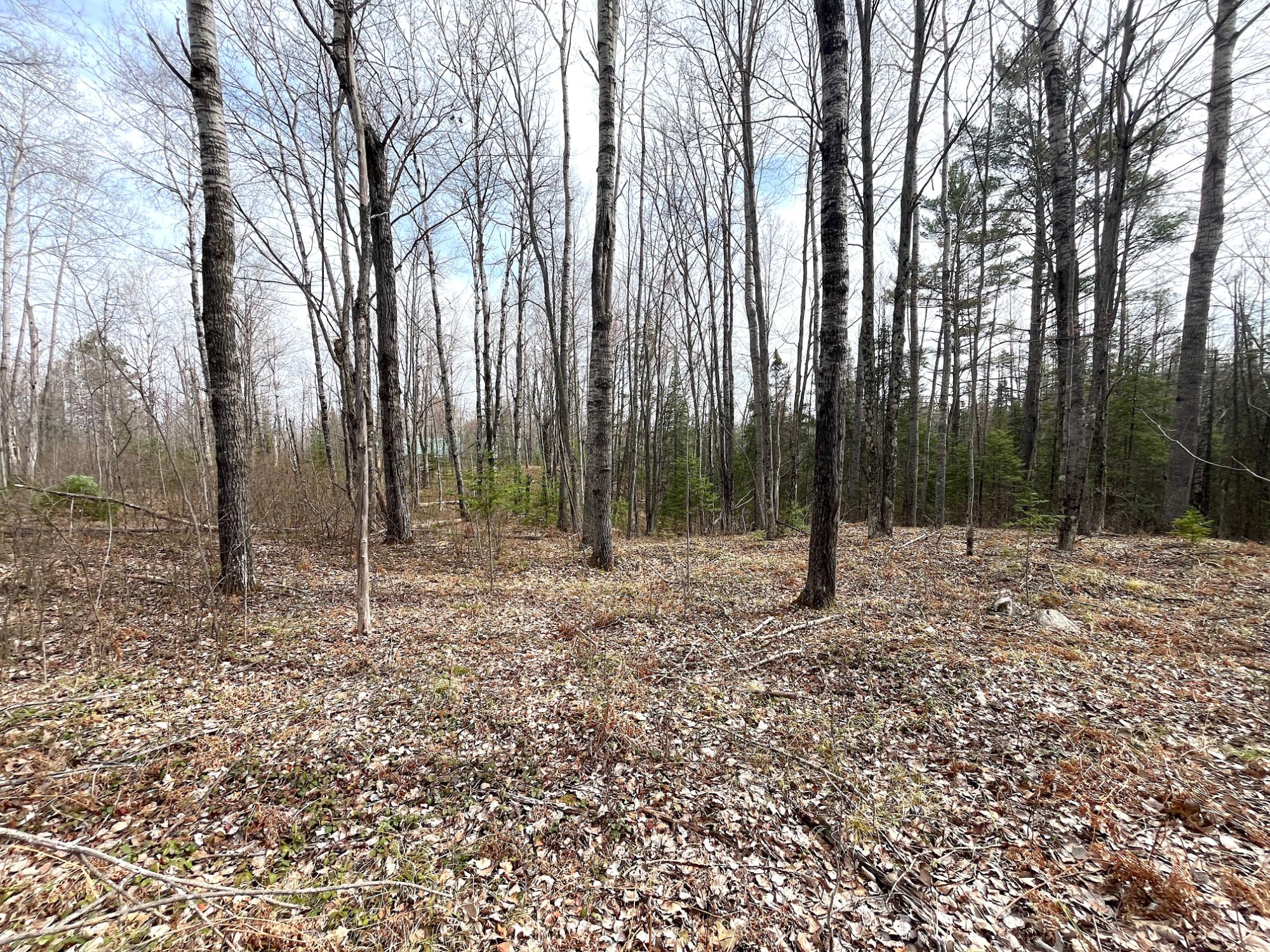 W8080 East Cataline Road Pembine, WI 54156 - Photo 24 of 47 Gallery Image 24