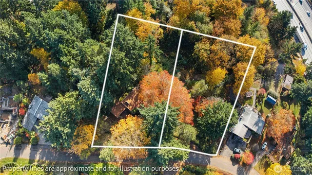 a view of a yard and a tree