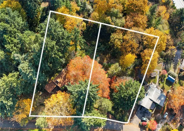 a view of a yard with a tree