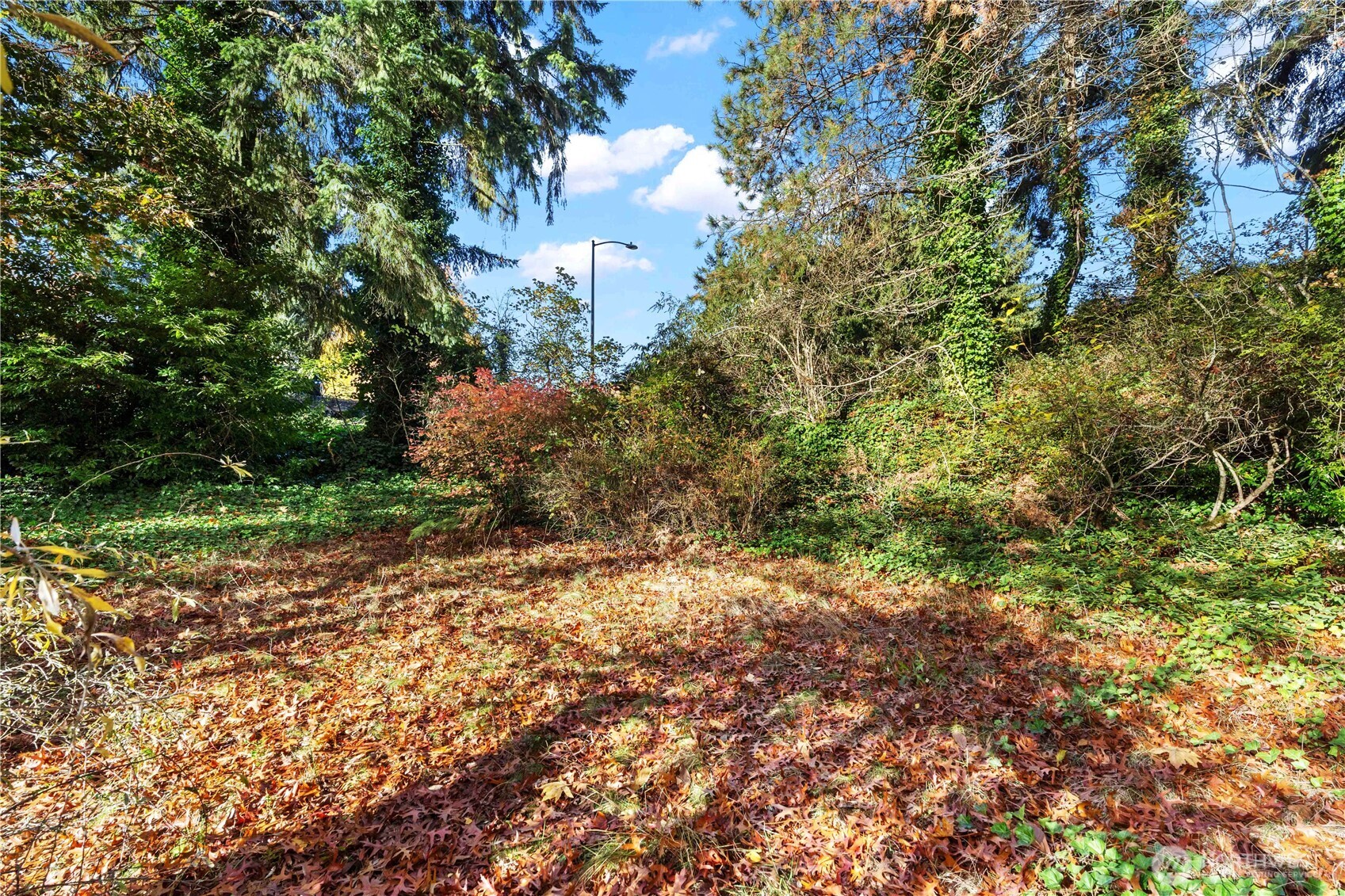 12117 Southeast 26th Street Bellevue, WA 98005 - Photo 28 of 38