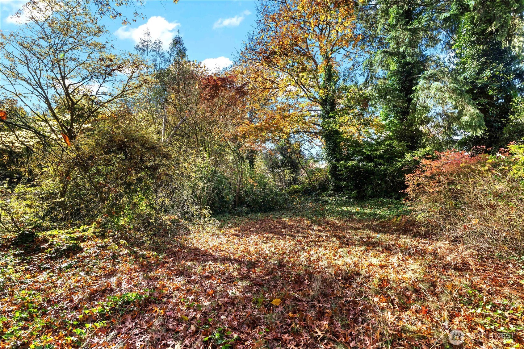 12117 Southeast 26th Street Bellevue, WA 98005 - Photo 29 of 38