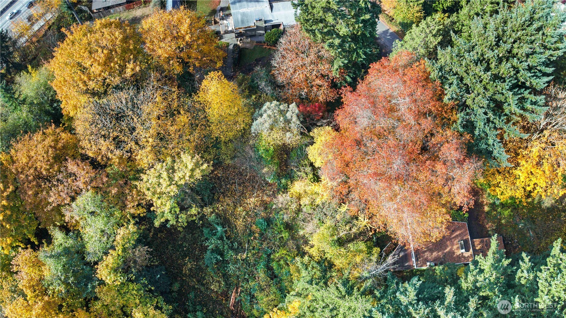 12117 Southeast 26th Street Bellevue, WA 98005 - Photo 3 of 38