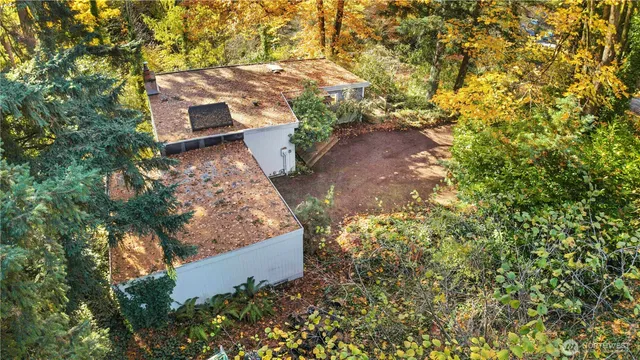 a view of a garden with plants